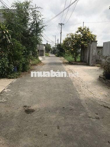 CẦN TIỀN CHO CON DU HỌC BÁN LÔ ĐẤT 163M2 - TÂN THẠNH ĐÔNG. GIÁ 550Tr.