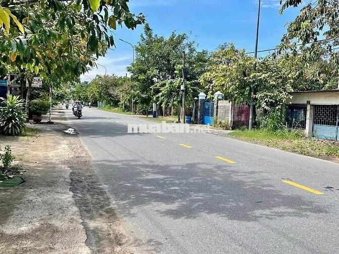 CẦN TIỀN CHO CON DU HỌC BÁN LÔ ĐẤT 163M2 - TÂN THẠNH ĐÔNG. GIÁ 550Tr.