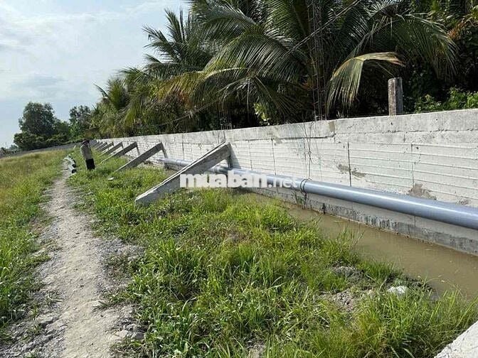 Đất mặt tiền vành đai TP Tân An/ TL834B