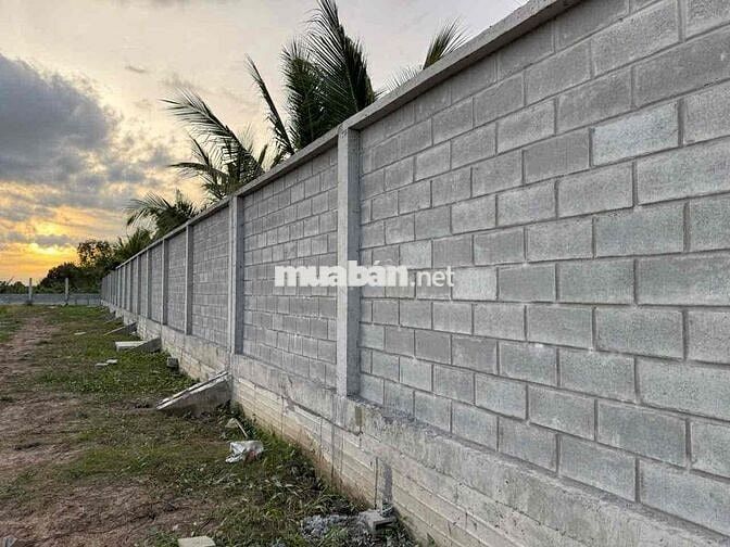 Đất mặt tiền vành đai TP Tân An/ TL834B