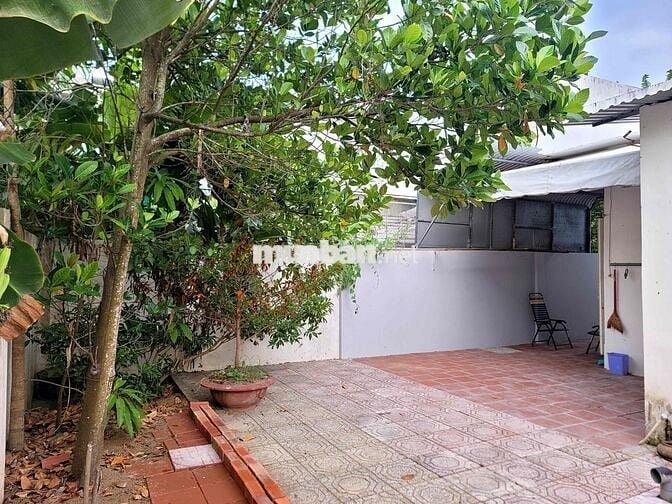 Nhà ở đường Lê Trọng Tấn, Địa ốc, Bạc Liêu (cho thuê hoặc bán)
