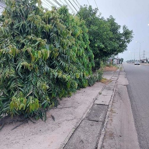13x36. Đất có nhà mặt tiền đường QL22. 420tr (1m) 