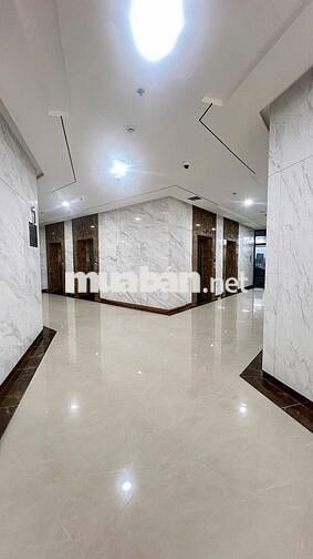 Bán gấp 1PN 3,6 tỷ - 2PN 4,7 tỷ - 3PN 6,5 tỷ  D-Homme Hồng Bàng Quận 6