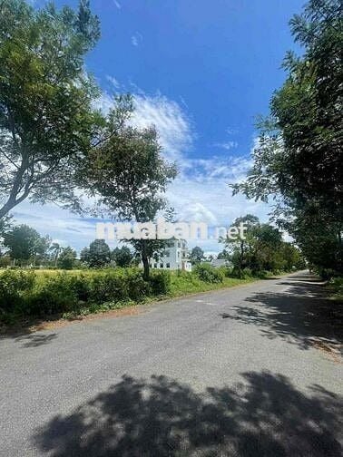 ❌❌Chủ gửi Góc 3 MẶT TIỀN nội bộ đường số 6 Green City P6 Tân An ( P. L