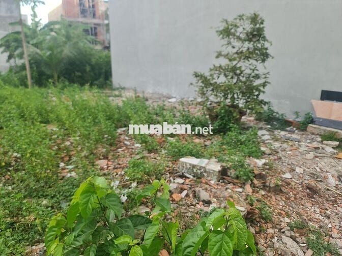 ĐẤT THỔ CƯ CHÍNH CHỦ SỔ HỒNG RIÊNG