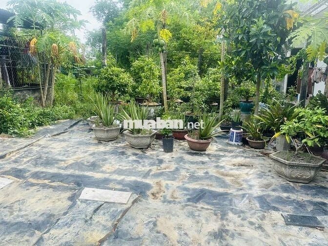 SIÊU PHẨM GIÁ CHO NHÀ ĐẦU TƯ, LÔ GÓC 2 MẶT KIỆT, SÁT MẶT TIỀN