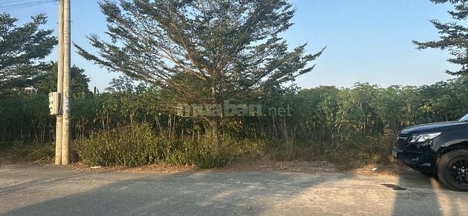 Đất trống 125m2 Phường Hắc Dịch, Thị xã Phú Mỹ