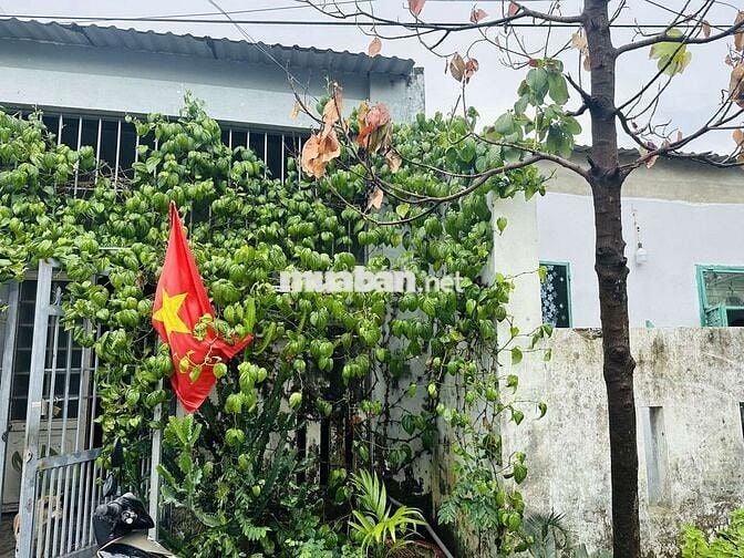 CỰC VIP BÌNH KỲ, HÒA QUÝ, BÁN ĐẤT TẶNG NHÀ DÒNG TIỀN. KIỆT OTO TRÁNH
