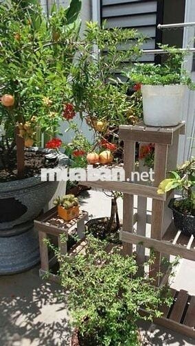 PHÒNG ĐẸP YÊN TĨNH CHO NỮ ĐỘC THÂN