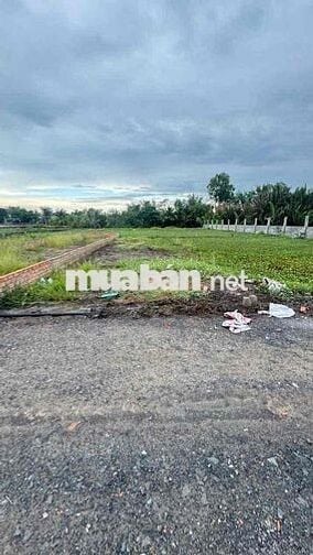 siêu phẩm đất nền Long Khê - Cần Đước