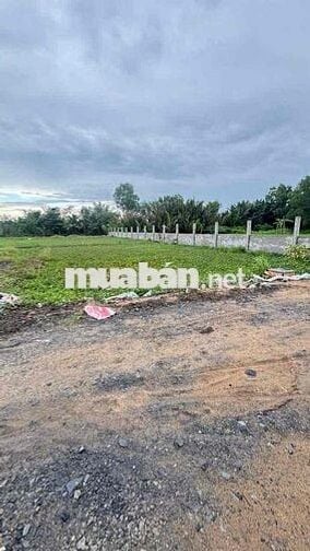 siêu phẩm đất nền Long Khê - Cần Đước