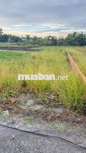 siêu phẩm đất nền Long Khê - Cần Đước