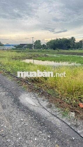 siêu phẩm đất nền Long Khê - Cần Đước