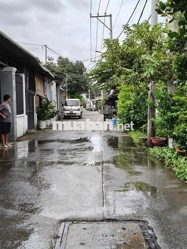 Bán Đất SHR 5*22m hẻm 5m ô tô 1/ Ngắn Thới Hoà Vĩnh Lộc A