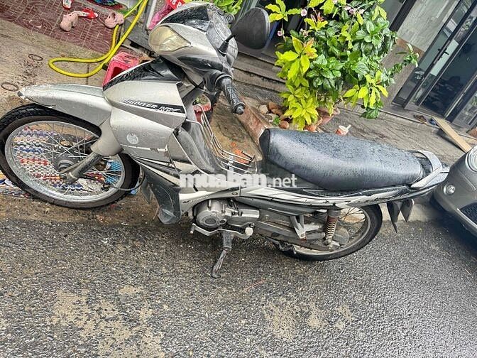 jupiter mx thái biển 43 chinh chủ