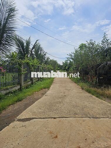 💥 ĐẤT 2MT HẺM ĐƯỜNG ĐOÀN KẾT XÃ HÒA PHÚ 394m2 THỔ CƯ VIEW RUỘNG 1.2 TỶ