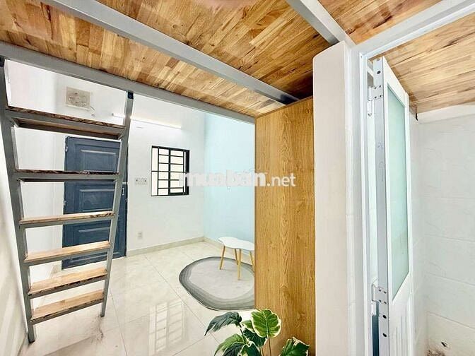 CHO THUÊ CHDV DUPLEX - GÁC TRẦN CAO ĐỨNG ĐƯỢC