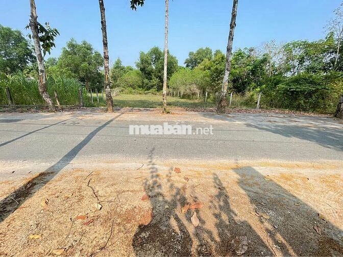 Thái Mỹ 500m² có 300m thổ mặt tiền đường Phạm Thị Liền. giá 1,6 tỷ