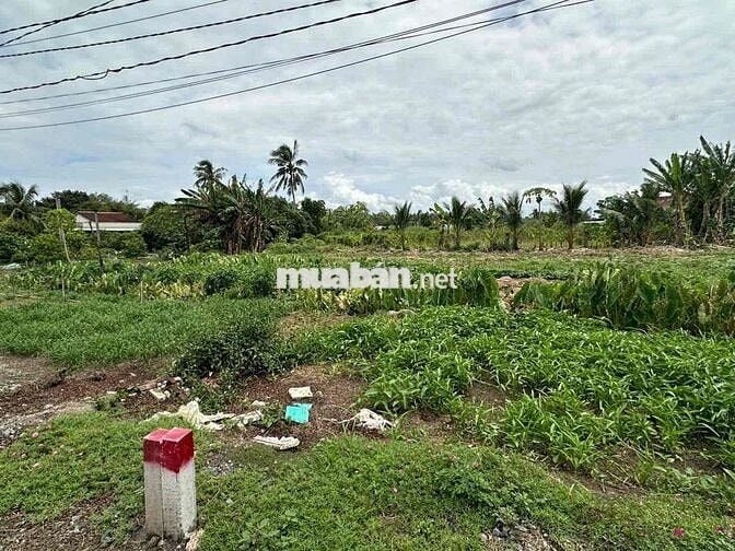 💥💥 Cơ hội đầu tư sinh lời. Đất thổ cư sát vàn đai 4
