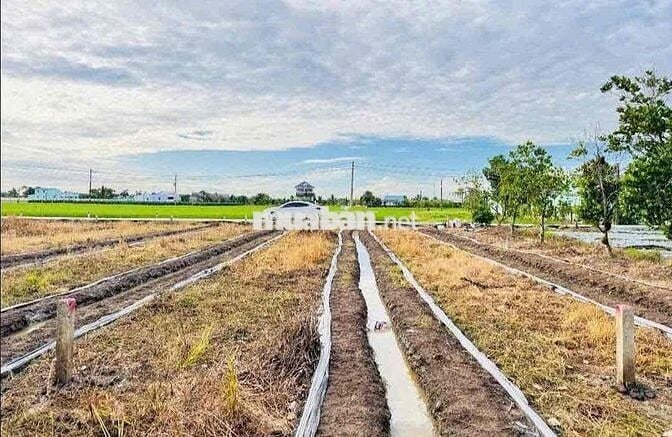 🧧Kèo thơm  Ae đầu tư hay định cư khỏi chê  Đất thổ cư giá quá rẻ đường