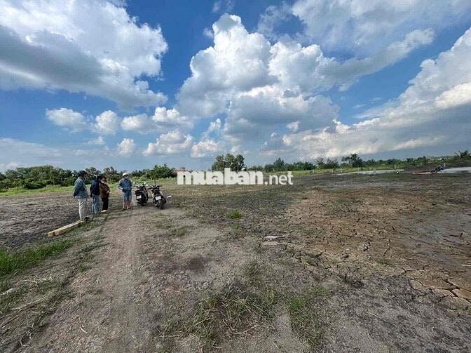 🧧SIÊU VIP 😍😍 Quê mỹ thạnh- tan trụ-long an( Nhựt Tảo-Tây Ninh) dt : 10