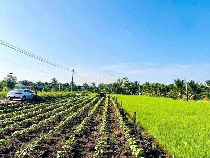 thổ cư 110m2, giá: 520tr tân trụ - long an , 2 xe ô tô né nhau vô tư