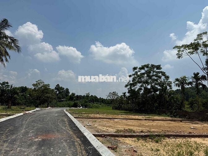 TÔI CHÍNH CHỦ CẦN BÁN NGÂN HÀNG 150M FULL THỔ THÔN CHÓNG YÊN BÀI BA VÌ