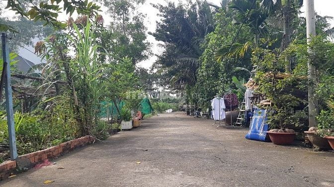 cần bán căn nhà 1 trệt 1 lửng ngay trung tâm phường Tăng Nhơn phú A