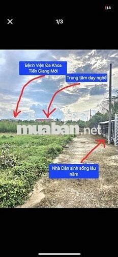 Khu Phố Long Hưng Phường Trung An Mỹ Tho Đồng Tháp: F0 chưa qua Đầu Tư