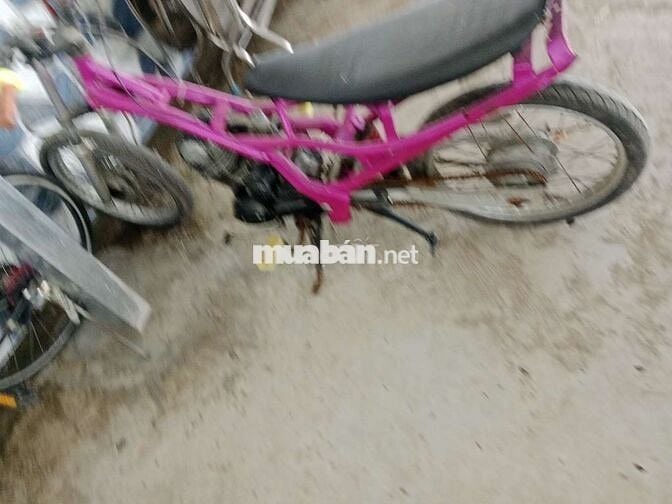 Xe độ