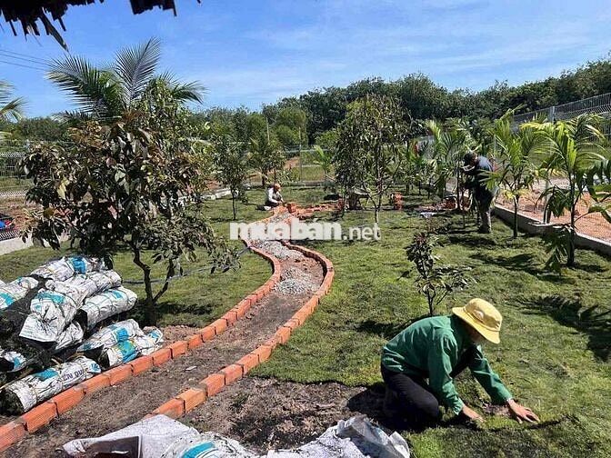 Mặt tiền DT 750 cách trung tâm Long Hoà Tp.HCM chỉ 800m.