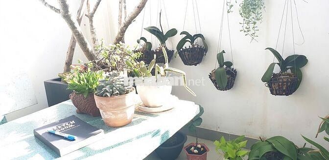 🌟 CĂN HỘ DUPLEX FULL NỘI THẤT – GIÁ CHỐT SIÊU HẤP DẪN 🌟