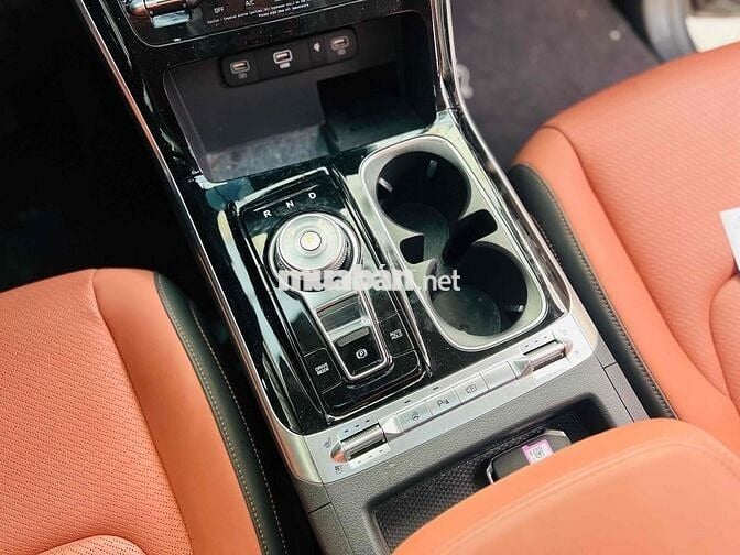 CARNIVAL SIGNATURE DẦU 2023 CỰC ĐẸP