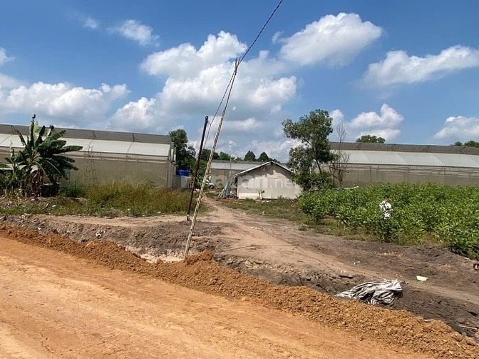 Chủ cần bán lô đất ở vuông vức 25.5mx39.5m, đường ô tô 1 sẹc, 3.3ty