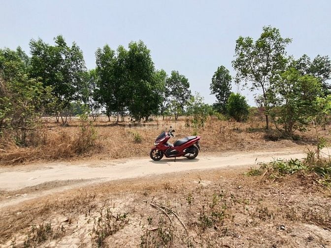 Chủ cần bán lô đất ở vuông vức 25.5mx39.5m, đường ô tô 1 sẹc, 3.3ty