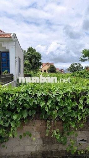 Bán lô đất đẹp tại Tân Phong, Kiến Thụy