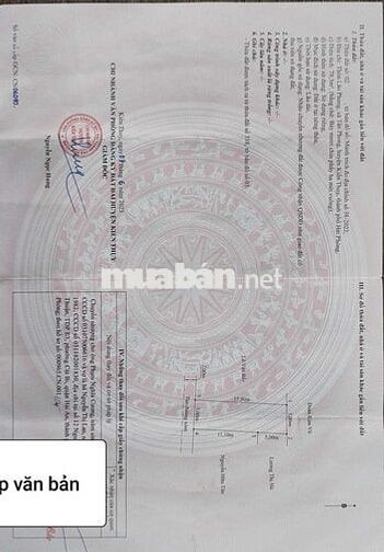 Bán lô đất đẹp tại Tân Phong, Kiến Thụy