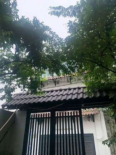 ✅Nhà Hẻm 5m Đường Nguyễn Hới , An Lạc, Bình Tân 