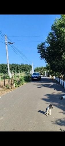 Đất thổ cư Hồ Chí Minh (Bình Dương) mà giá chỉ 2tr/m2. SHR. 