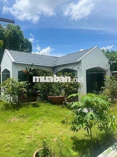 Bán Biệt Thự Chánh Nghĩa Thủ Dầu Một 520 m2