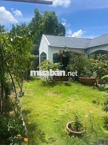 Bán Biệt Thự Chánh Nghĩa Thủ Dầu Một 520 m2