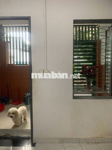 nhà cho thuê ở tiện kinh doanh