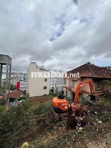 🏡 BÁN ĐẤT MẶT TIỀN PHAN NHƯ THẠCH – PHƯỜNG 1, TRUNG TÂM TP. ĐÀ LẠT 🌲