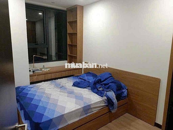 cho thuê căn hộ Csky view 1pn full nội thất