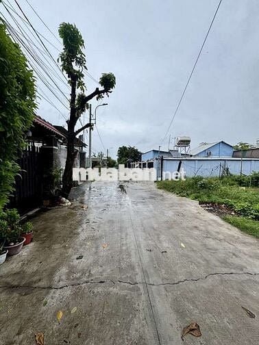 BÁN ĐẤT HÓC MÔN - XE TẢI ĐẬU ĐẤT - DT KHỦNG - GIÁ CỰC TỐT