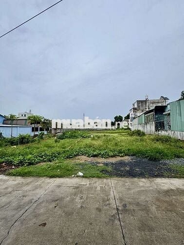 BÁN ĐẤT HÓC MÔN - XE TẢI ĐẬU ĐẤT - DT KHỦNG - GIÁ CỰC TỐT