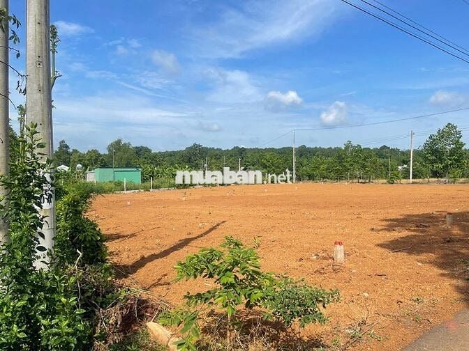 Bán đất tại Đường 765, Xã Lâm San,Đồng Nai, giá 630 triệu, 118.2m2