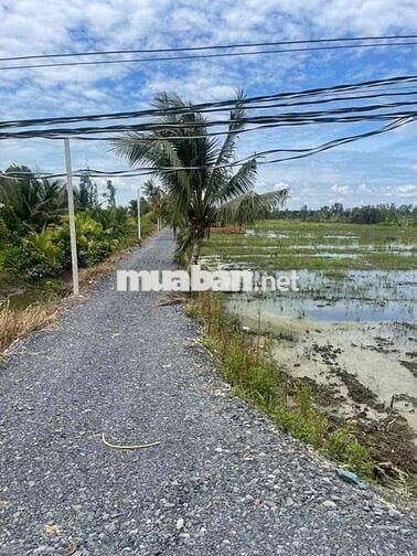 dt : 500m2 ,giá :435tr sổ giao tay , xã thạnh hoá - bến lức - long an
