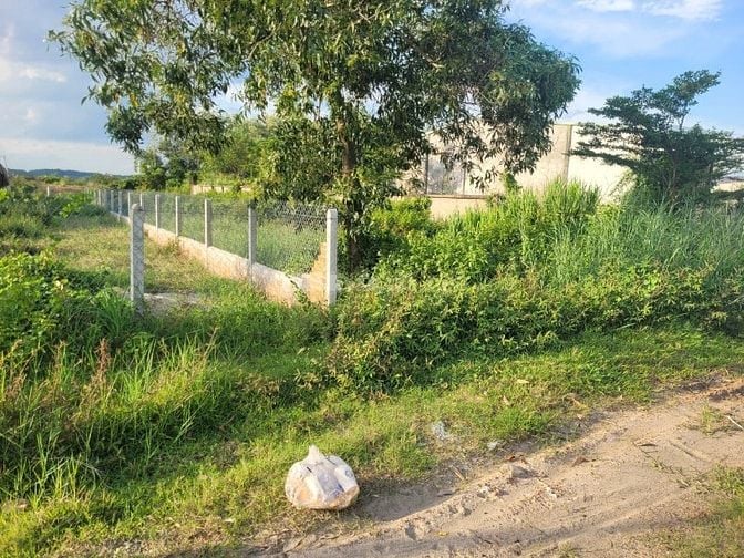 223m2 có thổ cư. Mặt tiền HL1. Đất phường Gò Dầu. 1,6 tỷ TL