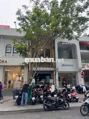 CHO THUÊ MT KHU PHỐ ĐI BỘ NGUYỄN HUỆ QUẬN 1 - NGAY BÃI XE ĐÔNG ĐÚC